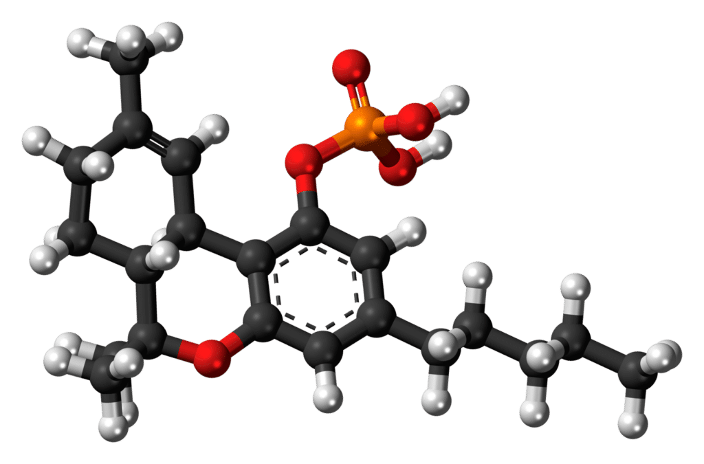 HC-O-phosphate_3D_ball-1